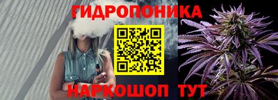 наркотики Новозыбков