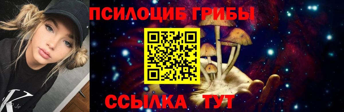 Галлюциногенные грибы GOLDEN TEACHER  закладки  Сургут  Вход с VPN 